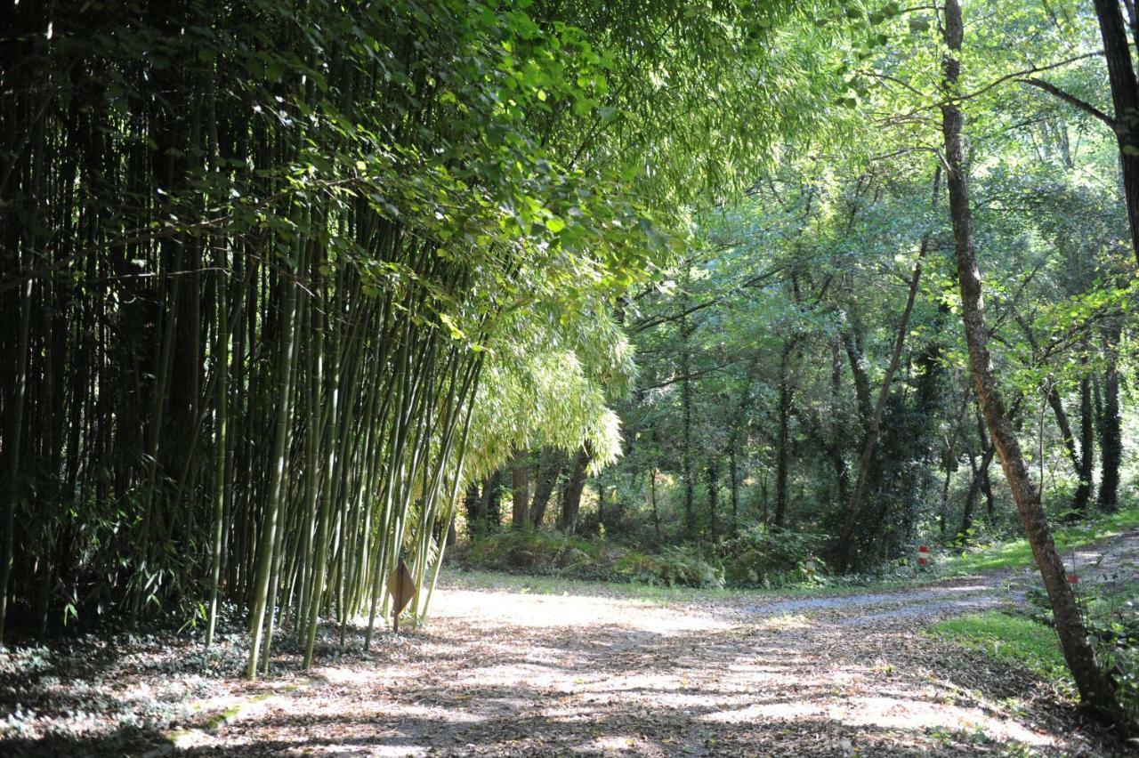 Saint-Bonnet-sur-Gironde La Marviniereヴィラ エクステリア 写真